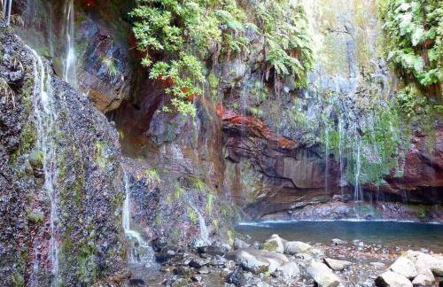 Cottage Pearl - Rural Holiday Experience by SeaPearl - Foto 48