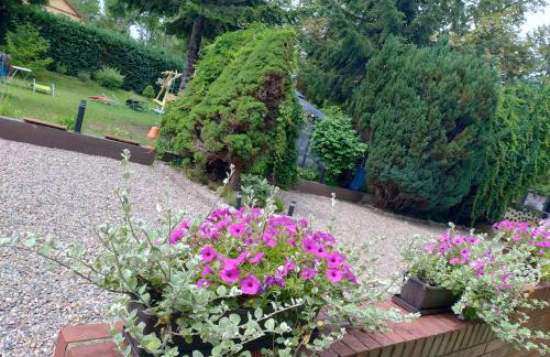 Agroturystyka Magnolia - Foto 28