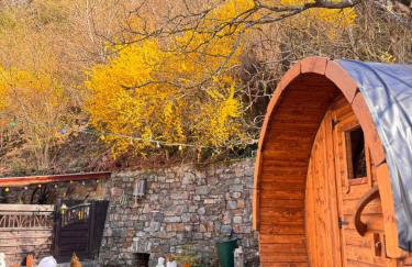 Apartment in Zell an der Mosel - Foto 9