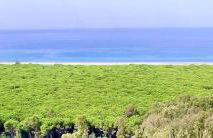 Pizzo Beach Club two bed Apartments 57F - Photo 10