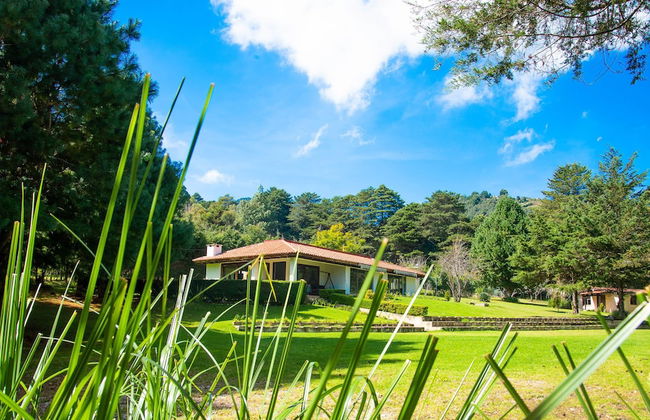 Cabañas San Marcos - Foto 15