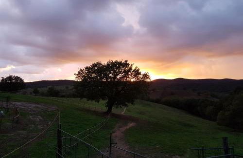 Agriturismo Collelungo di Maremma - Foto 30