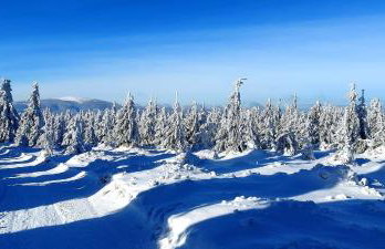 Apartament Azzurro - Old Town - Foto 53