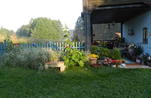 Pod tulipanem nad jeziorem - Foto 14