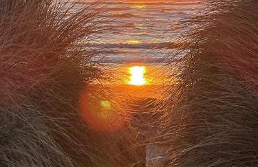 St Hilda Beach Hut Alnmouth - Foto 37