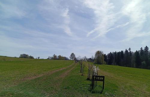 Agroturystyka W oddali z balią - Foto 47