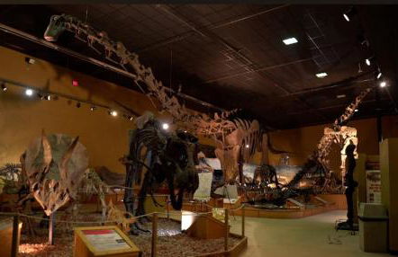 Top Property, Fishermen, Pool Passes, One Minute To The Hot Springs, Location Perfect & Amenity Rich, Pup Friendly, Discover An Exceptional Wyoming Stay, Thermopolis River Walk Home at Hot Springs State Park, 'Where Families and Fisherman Stay' - Foto 61