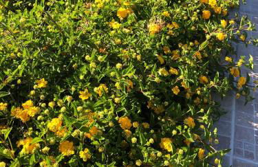 La Casa di Flò Luxury Rooms - Foto 10