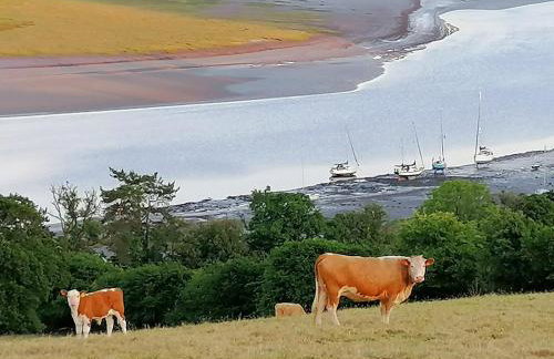 Corner Cwtch - Foto 27