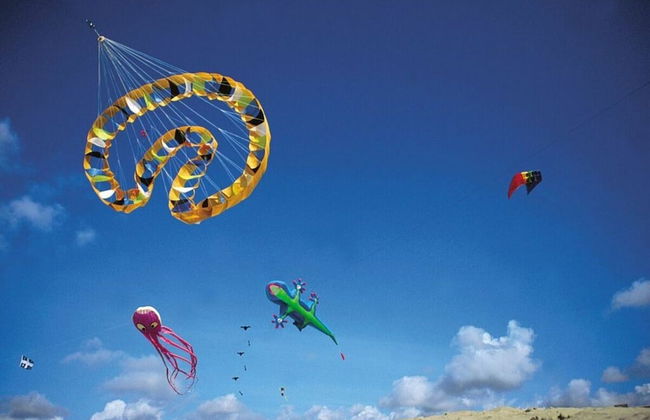 Seagull's Nest Modern Retreat - Foto 14