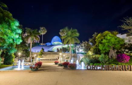 PUERTO ESTEPONA - Photo 41