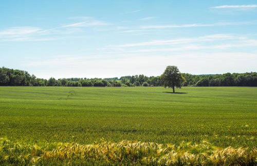 Holiday Home in Saint-laurent-de-la-salle With Pool - Foto 126