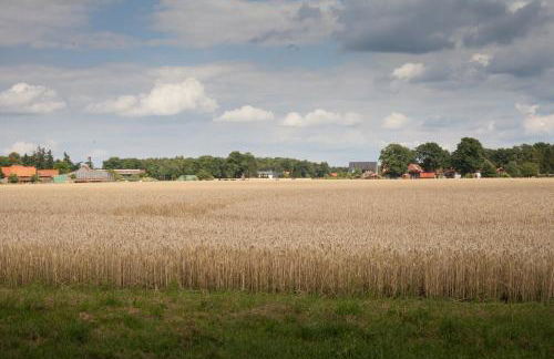 Ferienhaus Heideland Winsen Aller - Foto 27