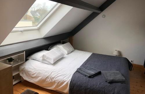 Les Bleuets - Erdivines - Foto 51