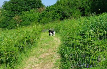 The Hive - Unique log cabin with wood burning stove - Foto 33