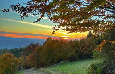 Domek u Janiego - Foto 2