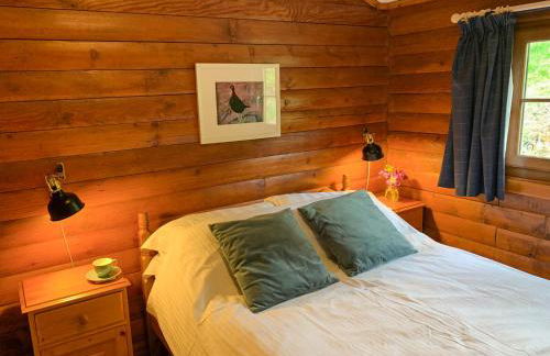 Squirrel View - Foto 7