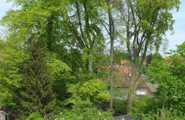 Dachgeschosswohnung Seeblick - Foto 4