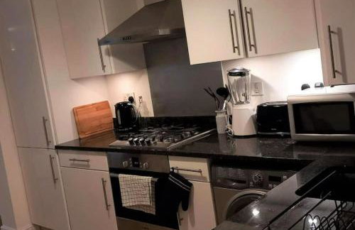 2 Bedroom Victorian Garden Flat - Foto 2