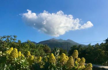 Casita La Rosa - Foto 49