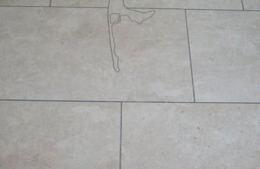 Kiekin-Kiekut - Foto 22