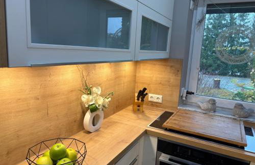 Frankenwald Ferienhaus FourStars am See in Lichtenberg, Bayern, Oberfranken, Bad Steben - Hof -Saale, Rennsteig - Foto 23