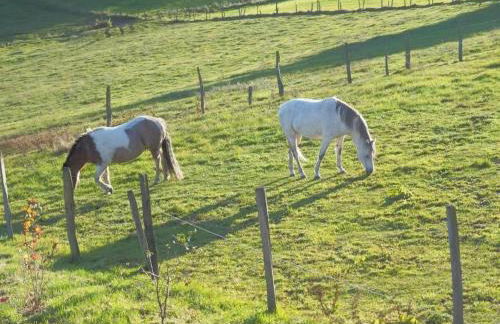 Holiday Home Exklusives Ferienhaus mit Terrasse und Garten by Interhome - Foto 21