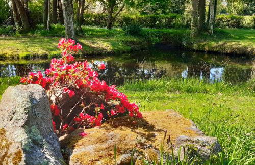 Agapè, élégant T2, 4 étoiles, plage et GR34 3km, centre ville 750m - Foto 30