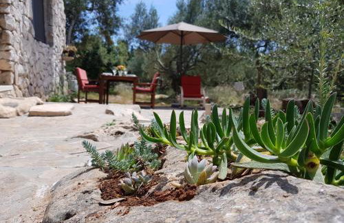 Holiday Home Strpuncina - Photo 15