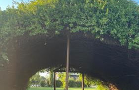 Casa Rural Puentes Mediana - Foto 17