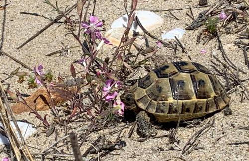 Villa Jolanta - Foto 31