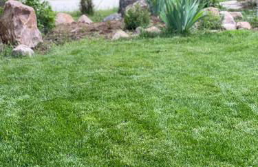 Mountain Vistas House and Acreage - Foto 80