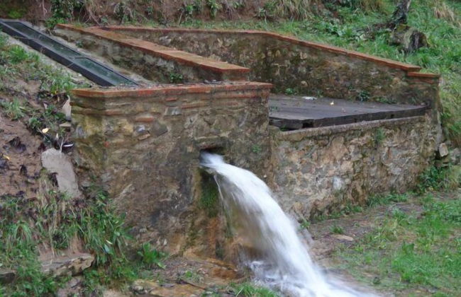 Castello di Mammoli - Foto 29