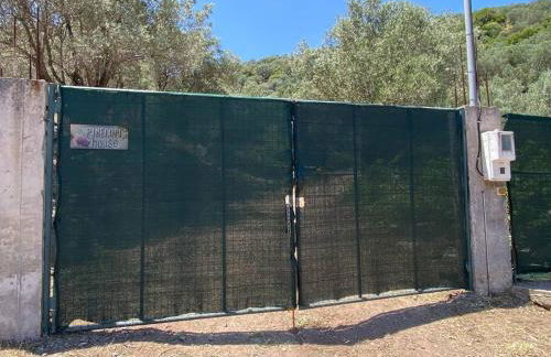 Pinelopis House, Skala Sikamineas, Molivos, Mytilene - Photo 24