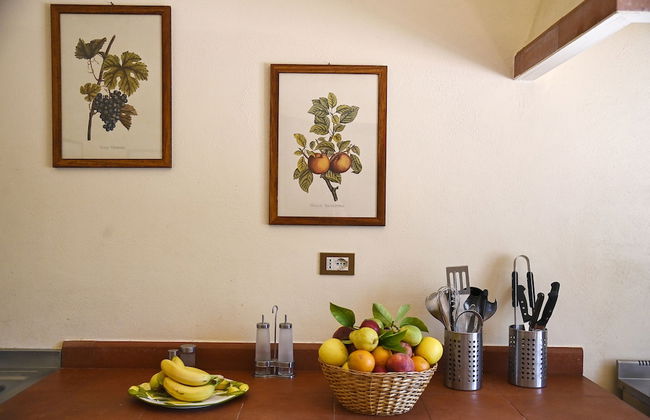 Tenuta Santa Cristina - Foto 20