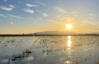 Getaway with views of the rice fields Relax and beach - Foto 20