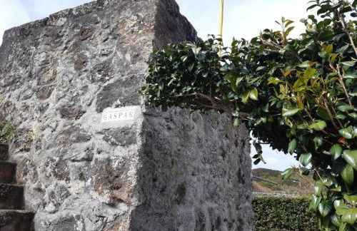 O Pomar do Gasparinho - Foto 32