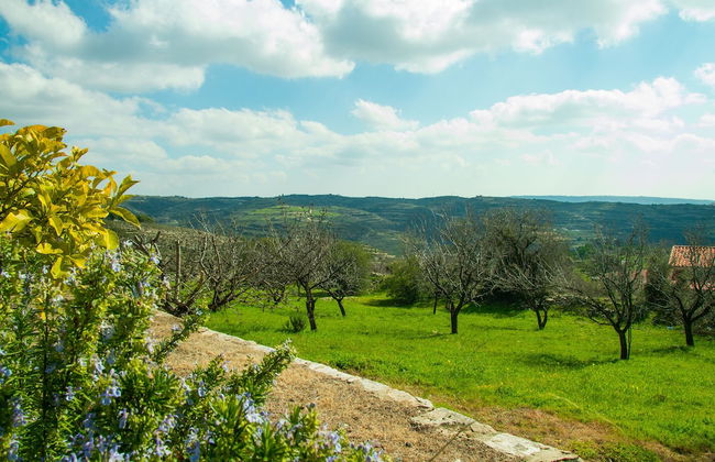 Erigone Cottage - Beautiful Ambiance - Foto 25