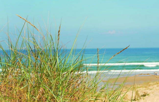 Résidence Vacances Bleues Domaine de l'Agreou - Foto 45