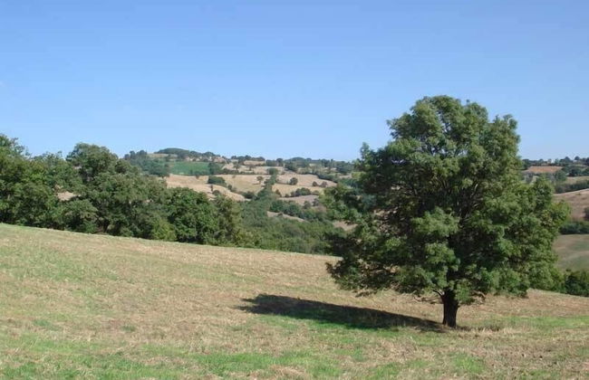 Country House Poggio Aione - Foto 77