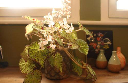 Chez Patrick et Virginie - Photo 6