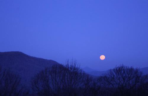 Peaceful View - Photo 39