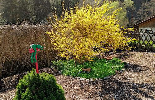 Ferienhaus Bodebaude - Foto 25