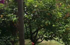 Il Nido Residence - Photo 17