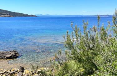 La roche aux mouettes Ile du Levant - Foto 20