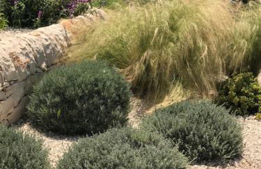 Appartamenti San Lorenzo Marzamemi Cecilia - Foto 33