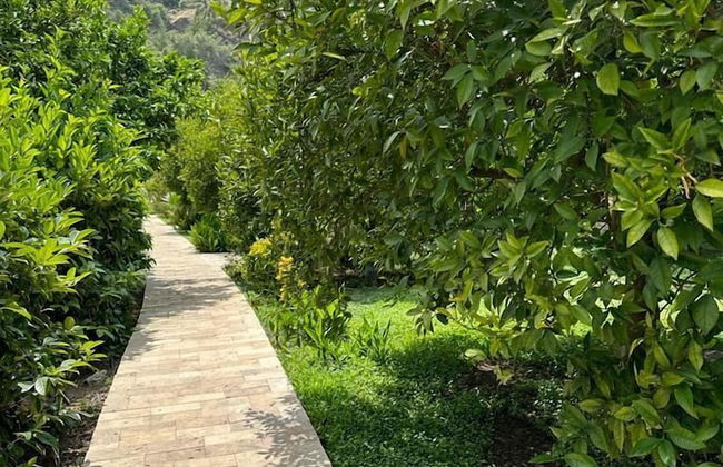 Cirali Villas 2 - Foto 33