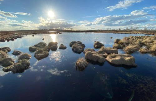 Gästehaus Monschau - Foto 18