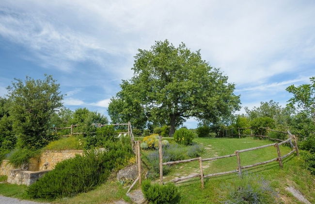 Agriturismo Cerreto - Photo 20