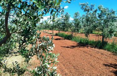 EcoVilla con piscina privata - Apulia Villas - Foto 58